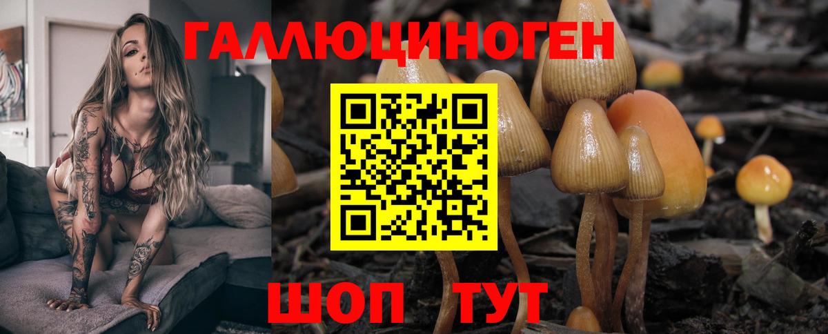 Видное  Псилоцибиновые грибы Magic Shrooms  Галлюциногенные грибы прущие грибы  Вход с VPN 